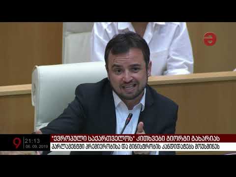 გიორგი გახარია „ევროპული საქართველოს“ წევრებს შეხვდნენ