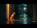기다릴게, 너를🐶 기억서랍의 감성 발라드 | 유기견의 시선으로 그린 이별 노래