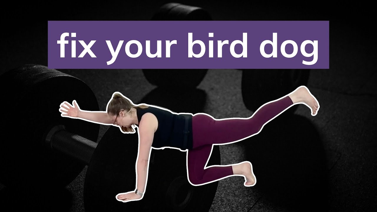 What are the Benefits of Bird Dog Exercise: Strengthen & Stabilize Core