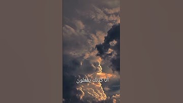 سورة الشعراء  #قران #القران_الكريم #القران #شورتز #قران_كريم #تلاوت #تلاوة #ترند #اكسبلور #خشوع