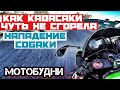 КАК КАВАСАКИ ЧУТЬ НЕ ЗАГОРЕЛАСЬ. НА МЕНЯ НАПАЛА СОБАКА.