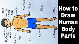 How to Draw Human Body Parts || Human Body Parts Drawing Picture with Name