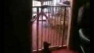 Cat Jump Gendamaaaa.seesaa More