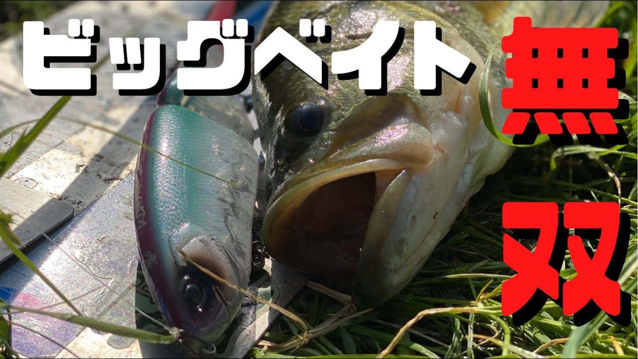 バス釣り】ビッグベイトが神がかった日。野池のビッグバスを連発