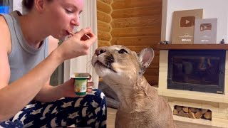 Puma Messi loved eating yogurt with Masha!