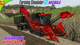 Sugarcane Harvesting with New CaseIH Aostoft 8800 Sugarcane Harvester! Fs23 Update screenshot 4