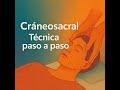Terapia Cráneo Sacral. Un Viaje Clínico