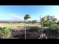 3D VR180 Scenic Queen Ka&#39;ahumanu Highway, Kings&#39; Land Hotel, Waikoloa, Hawaii Oculus SBS 4K