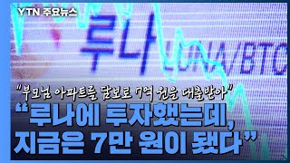 '루나 사태'로 드러난 가상자산 시장의 '민낯' / YTN