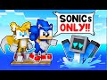 Locked on one raft with sonic in minecraft