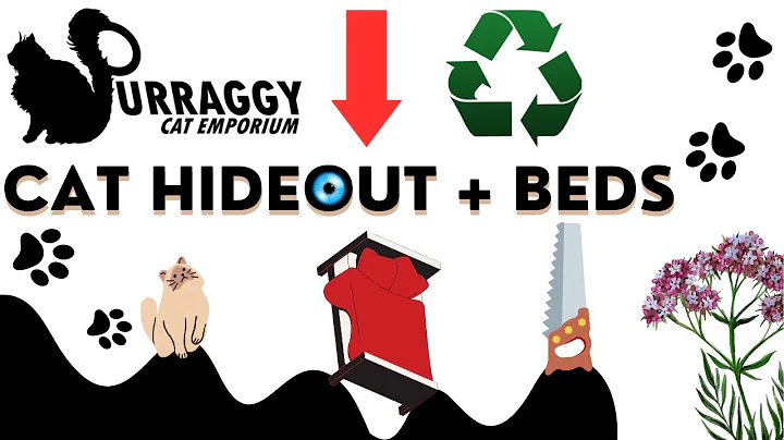 Video 2183101: cat playing jumping