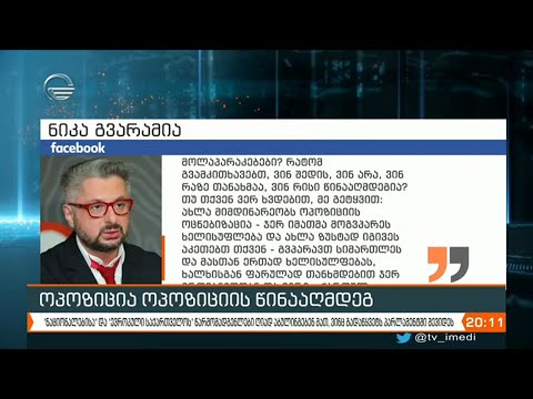 ოპოზიცია ოპოზიციის წინააღმდეგ