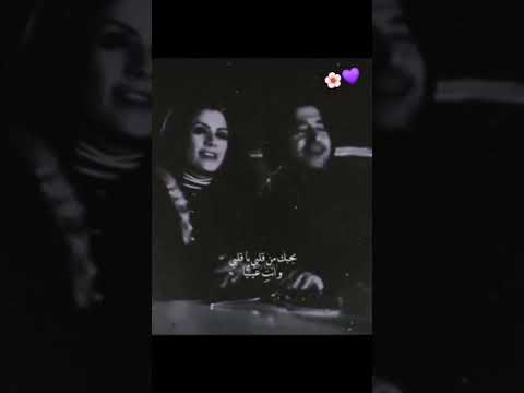 حالات واتس اب البنت الشلبية عيونها لوزية عابد فهد