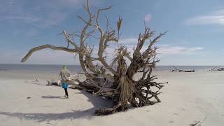 Wassaw Island Trip 31618