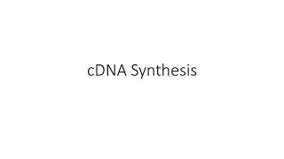 cDNA Synthesis