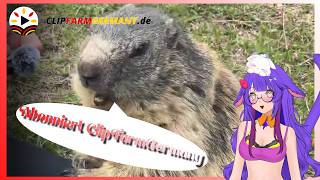 React (2025+) #50: Was sagen SIE zu CFG? - ClipFarmGermany #022 | React