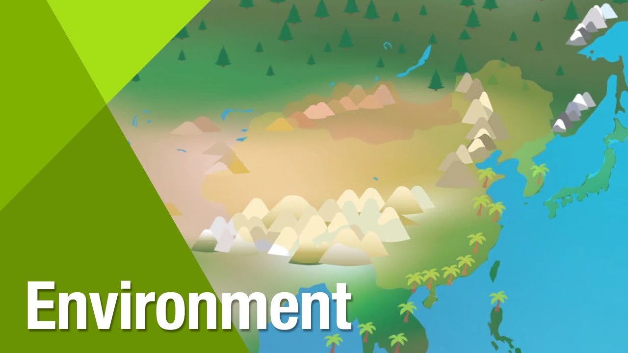 The Great Green Wall YouTube