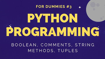 Python Tutorial For Dummies #3 - If Statement, Comments, String Methods, Tuples