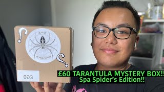 £60 TARANTULA MYSTERY BOX!! Spa Spider’s Edition!!