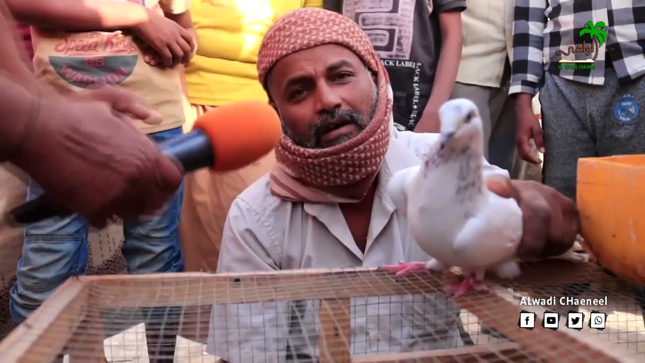 #نوافذ_حضرمية 2 الحلقة التاسعة | ( سوق الطيور )