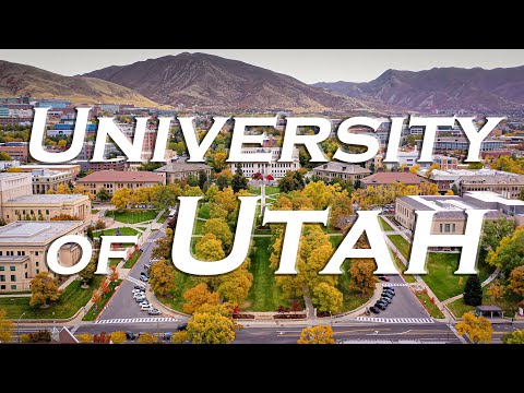 Video: Moose Unternimmt Eine Selbstgeführte Tour Durch Den Campus Der University Of Utah