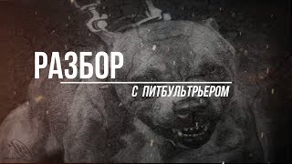 ПИТБУЛЬ VS ДВОРНЯЖКА ПИТБУЛЬ VS ДВОРНЯЖКА