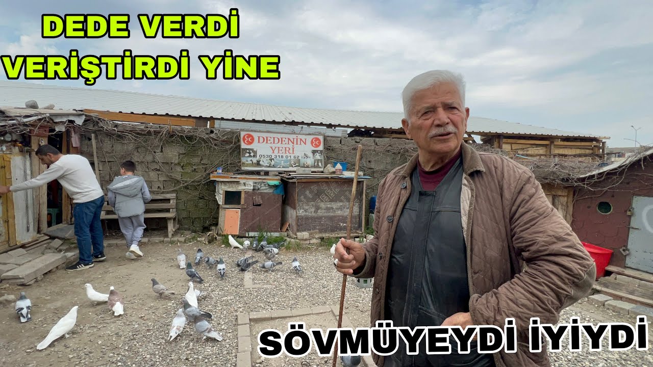 75 YAŞINDA DEDEMDEKİ GÜVERCİN AŞKINA BAKIN