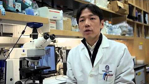 Hippo Signaling Regulates Microprocessor and Links...