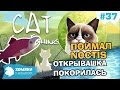 Cat Goes Fishing Прохождение ◗ ПОЙМАЛ НАДОЕДЛИВУЮ ОТКРЫВАШКУ ◗ I'VE GOT NOCTIS ◗ 37