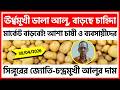 30/04/2026 : সিঙ্গুরের আজকের জ্যোতি ও চন্দ্রমুখী আলুর দাম | Potato Price in Singur - India Potato