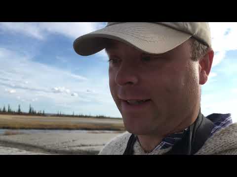 Video: Exploring Wood Buffalo National Park og Fort Smith