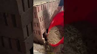 Thumbnail for The Most Dangerous Job