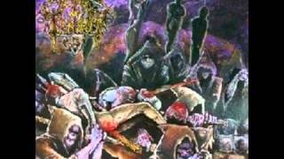 Reign of Terror - Marching Plague
