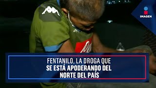 Fentanilo, la droga que se está apoderando del norte del país | Noticias con Ciro Gómez Leyva