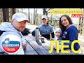 Словения. Жизнь продолжается. Vlog#3 - Лес. 6+