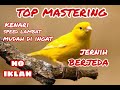 mastering kenari speed lambat biar mudah di ingat