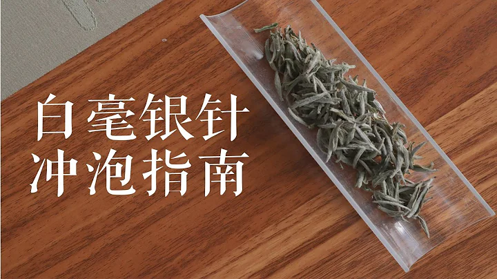 【茶葉沖泡入門13】保姆級白毫銀針沖泡方法教程 - 天天要聞