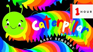 Sensory Rainbow Caterpillar: Baby Visual Videos for Babies Hight Contrast Eye Tracking Stimulation