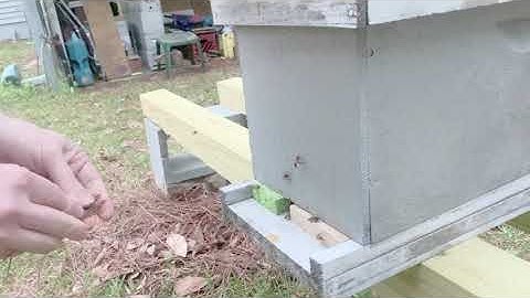 Honeybee Robbing Behavior:  How to Stop It.