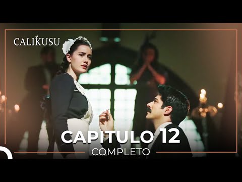 Calikusu 12 Capítulo