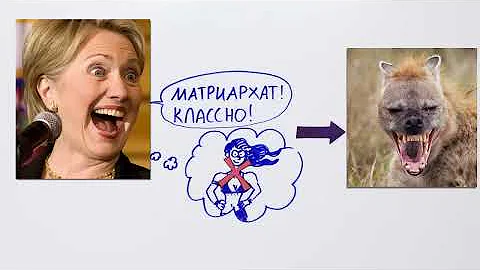 Что такое матриархат? — Научпок