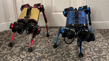 Synchronized Quadrupeds (V3 and V2)