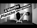 The Most Realistic Planche Progression Calisthenics (4 Months)