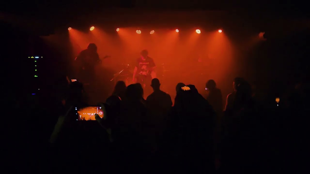 Gastritis - Organ vomiting goregrind - Smrjene, Slovenia