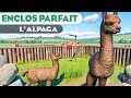 Bientre 100 de lalpaga  les enclos parfaits  pisode 149  planet zoo