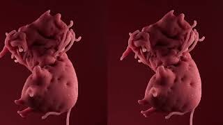 Organic Cloth | Softbody Simulation | Tutorial | Cinema4D | 2023