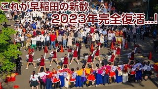 外野応援席のような爆盛り上がりの早稲田応援部新歓ステージ ! 舞台裏上階より 2023年早稲田新歓 完全復活