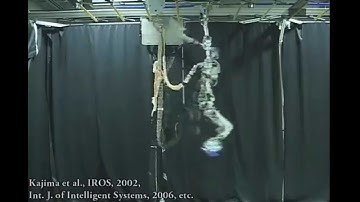 Brachiation of Multi-Locomotion Robot