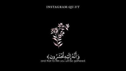تلاوة عطرة من سورة الأنفال الآية ٢٤