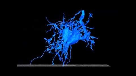 Automated high resolution data collection using 3View system